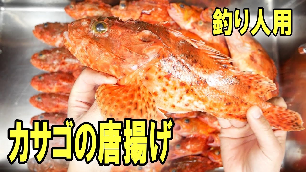 オコゼとガシラの数釣り便は帰ってからが地獄絵図 爆釣モードの鬼カサゴとカサゴの仕込み方 カサゴのさばき方とカサゴの唐揚げ 21 2 22 裕凪丸 オコゼ ガシラ料理編 Youtube