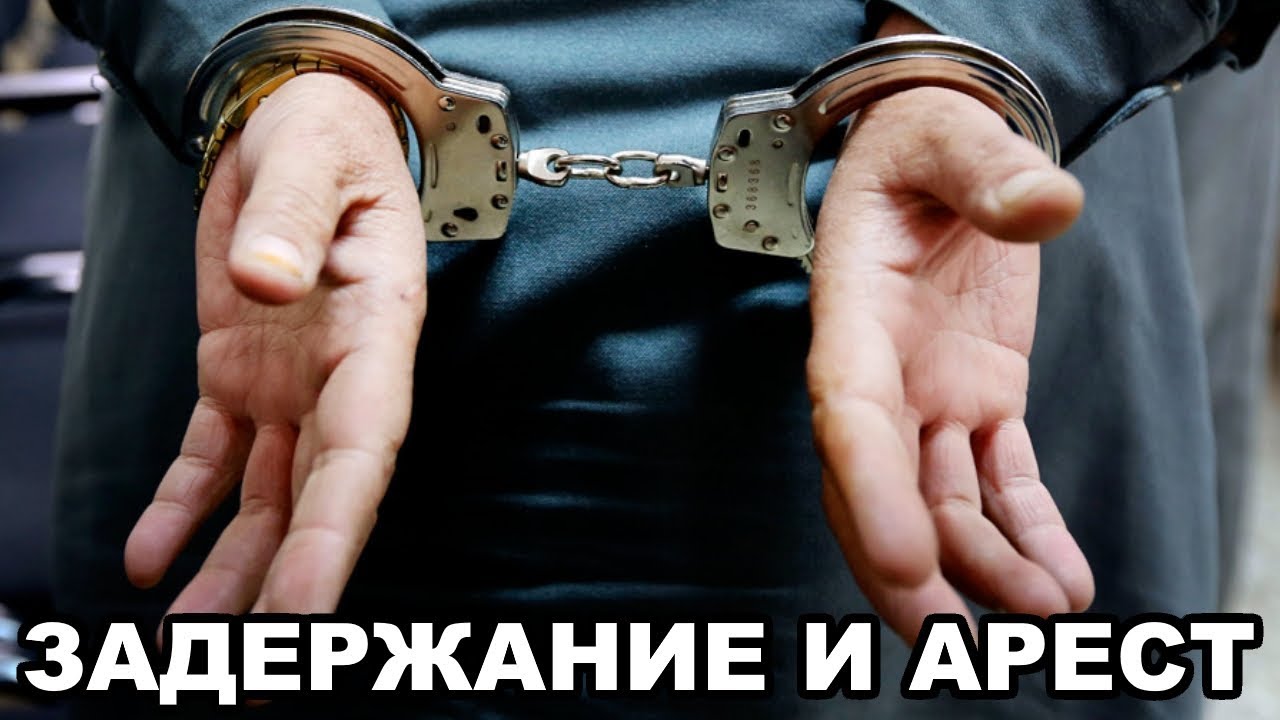 Как ведут себя москвичи