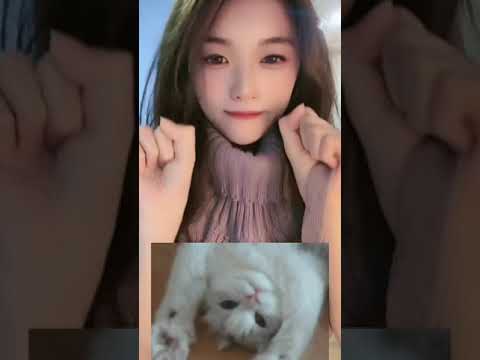 抖音小姐姐 N 每周推荐 小号：小n
