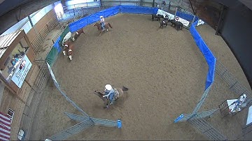 Big Sky Ranch Sorting Saddle Series #6 - Open - Round #1 - Ride #31