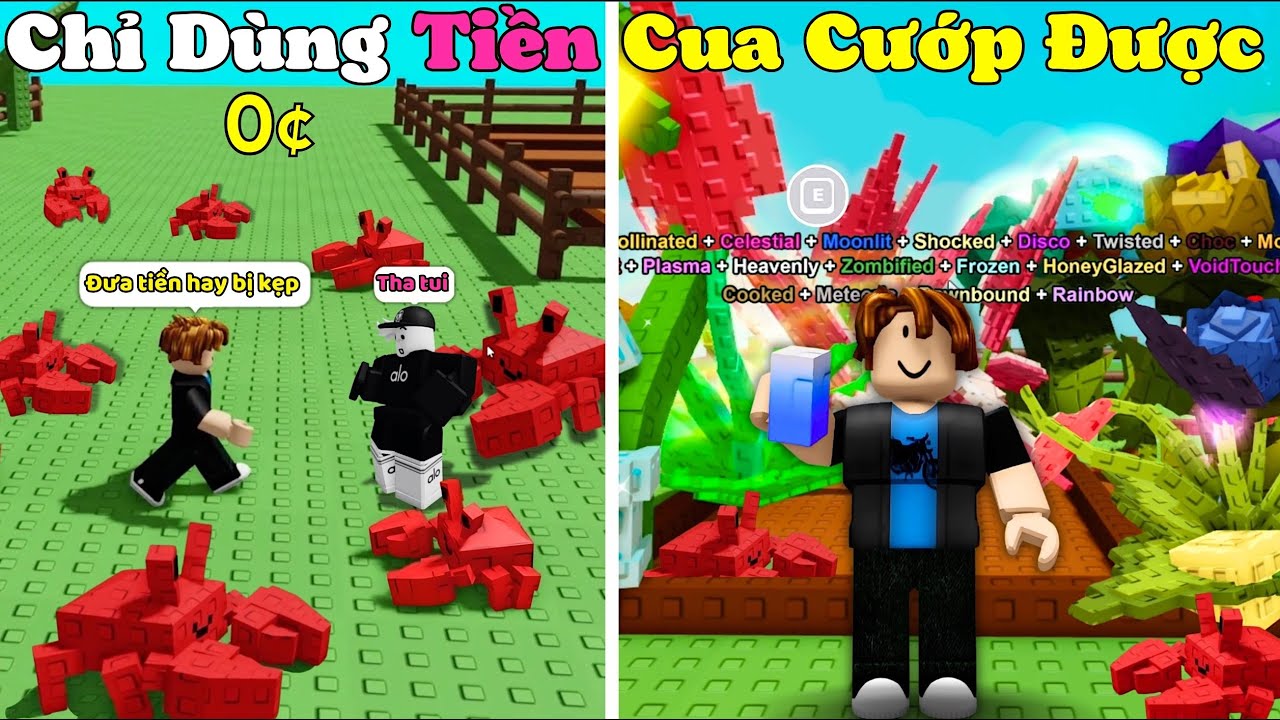 [Grown a Garden] Chỉ Được Dùng Tiền Cua Siêu Trộm Trở Thành Tỷ Phú Từ Con Số 0