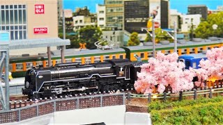 Nゲージ C62 2 東海道形蒸気機関車 ジオラマ走行