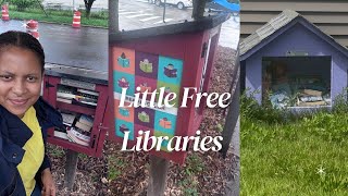 3 Little Free Libraries | RunwrightReads