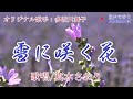 雪に咲く花 (多岐川舞子さん)唄/真木さおり