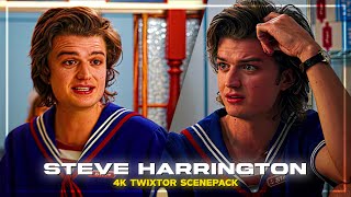Steve Harrington S3 Scene Pack Stranger Things S3 4K 60Fps Twixtor Steve S3 Scenepack