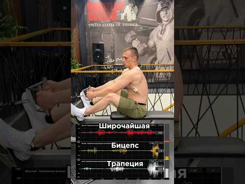 Широчайшие и миограф.За персональным планом обращаться в телеграм:@TrainerSmirnoVV 🤝