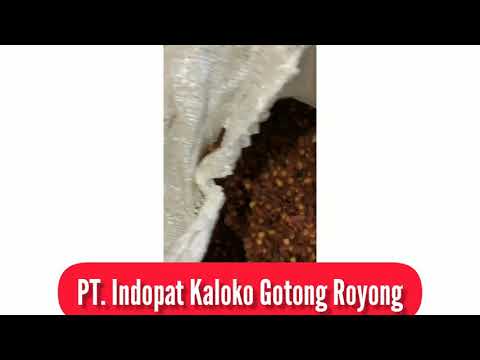 PT. Indopat Kaloko Gotong Royong