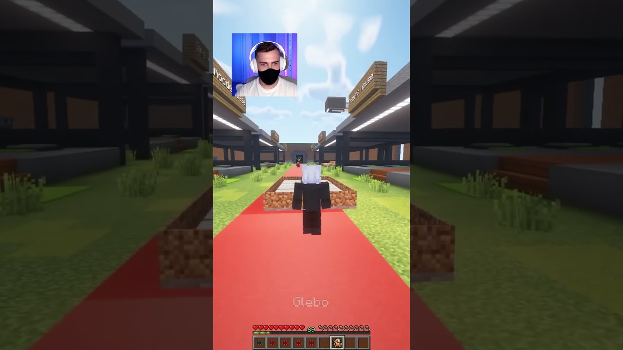 Do Not CHECK The Sound 534 Minecraft