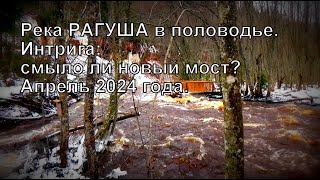 Река Рагуша в половодье. Интрига: Смыло ли новый мост? Апрель 2024 года.