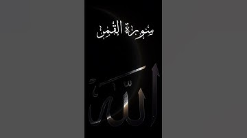سورة القمر 🌑🌒🌓🌔🌕🌚 #القرآن_الكريم #قرآن #تلاوة_خاشعة
