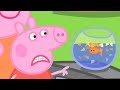 Peppa Pig Italiano - Dal veterinario 🐟 Collezione Italiano - Cartoni Animati