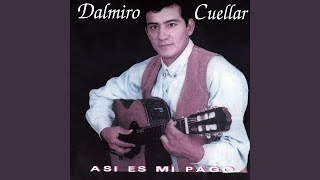 Video thumbnail of "Dalmiro Cuellar - Soy Chaqueño"