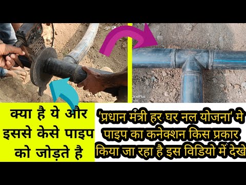 वीडियो: सेल कोर - यह क्या है?