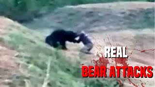 Nature's Most SAVAGE Bear Attacks