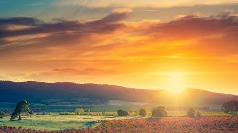 الشيخ ياسين الجزائري - تلاوة حزينة من سورة الأعراف .