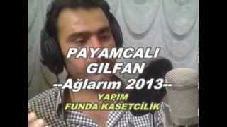 PAYAMCALI GILFAN 2013 YAPIM FUNDA KASETCİLİK Resimi