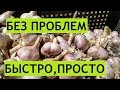 Обрезка чеснока.Как и чем быстрее всего.Сколько платить рабочим?