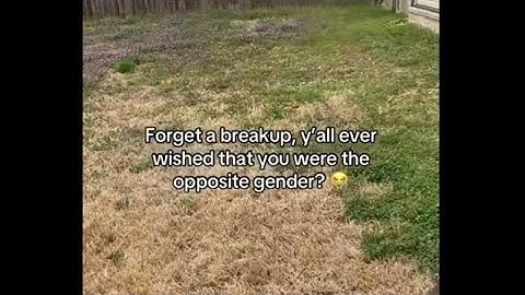 day 93 of p-ranking a random level from ultrakill until i figure out my gender identity