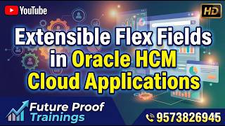 Extensible Flex Fields in Oracle HCM Cloud Applications