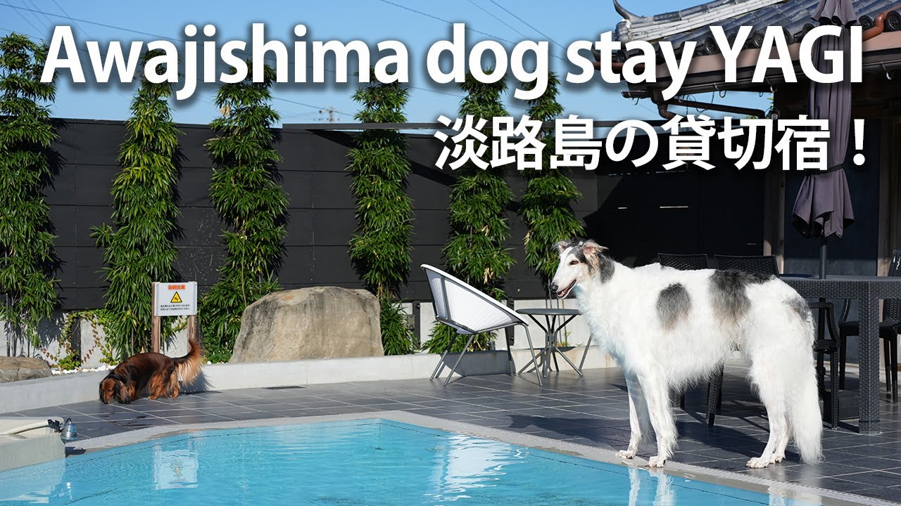 【淡路島旅行】1日1組限定の貸切宿！Awajishima dog stay YAGIに宿泊してきました！！