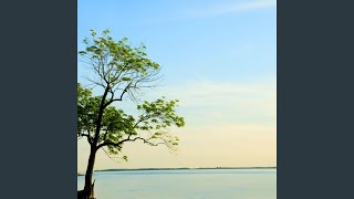 Harmony Melodic Quiet Drift