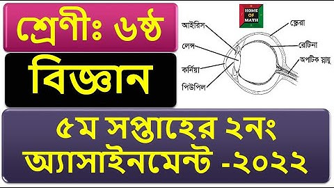 5th Week Class 6  science Assignment  2022 |৬ষ্ঠ শ্রেণির ৫ম সপ্তাহের বিজ্ঞান  এসাইনমেন্ট সমাধান ২০২২