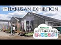 【新品種が満載!】千葉で開催されたハクサン展示会にお邪魔させていただきました♪2024年に販売されるであろうお花から、世界初のお披露目となるアノお花までたくさんの新品種が展示されていたので紹介します!