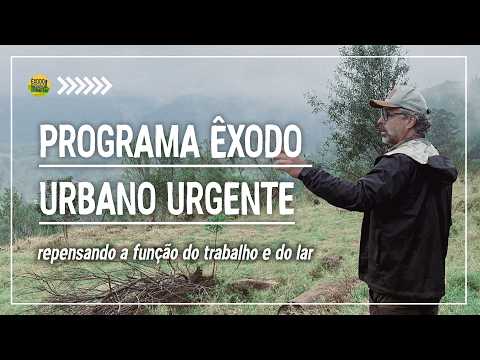 O Papel do Trabalho, Lar e Família na sua Transição para o Campo