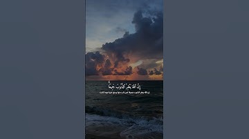 ماهر المعيقلي | تلاوة من سورة الزمر #قرآن #quran