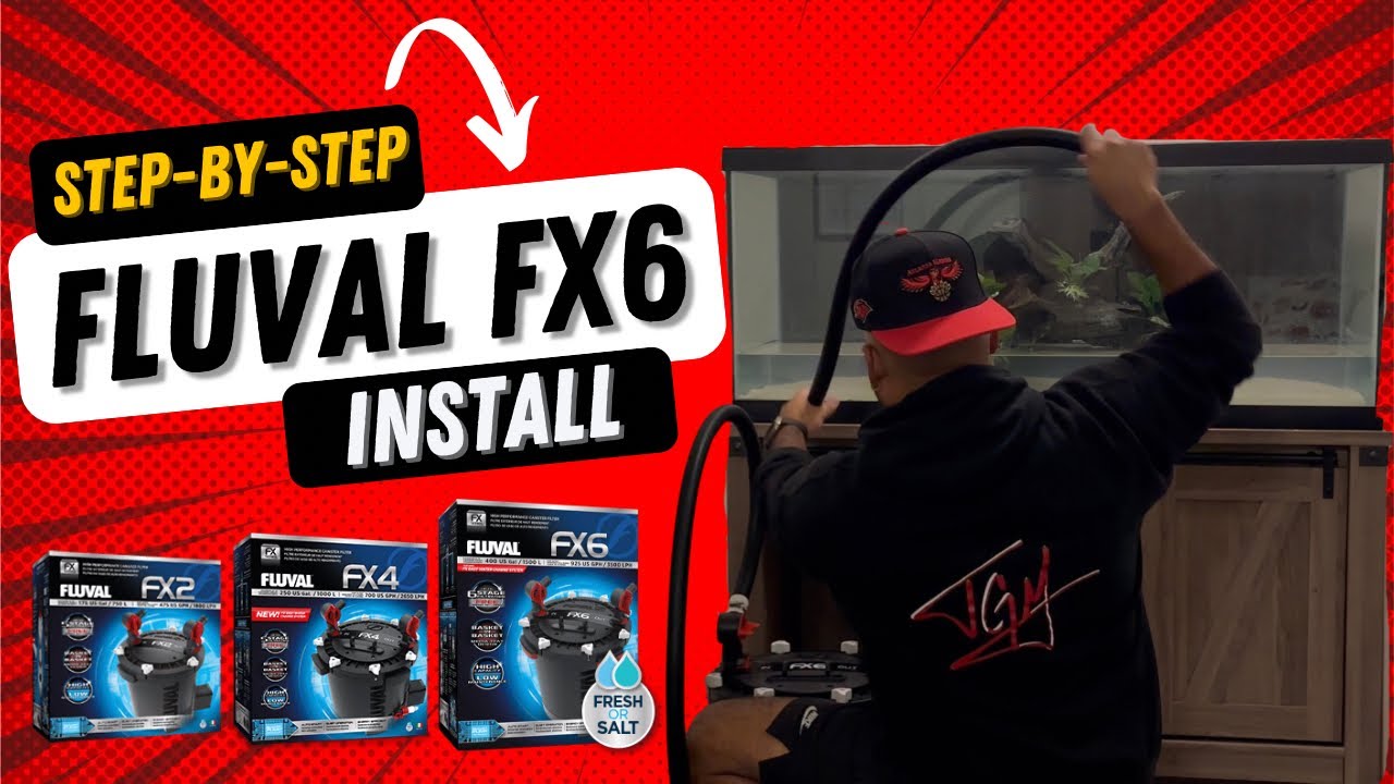 Fluval FX6 Set Up and Install Step By Step