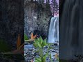 Escape With Serene Waterfall Sounds For Relaxation Sleep Tinnitus Relief mp3