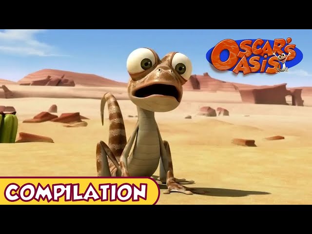 Oscar's Oasis - January COMPILATION class=