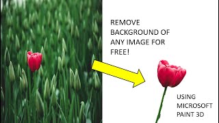 Remove your photo's background using Microsoft paint 3D!