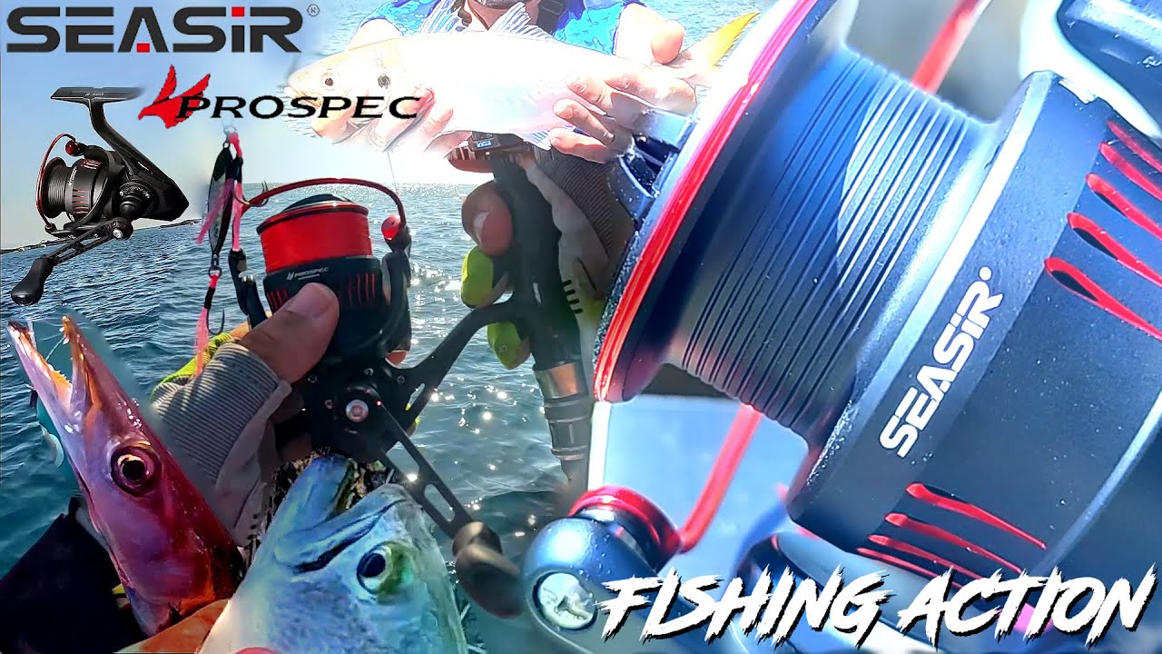 🔴 SEASIR Prospec CARRETE LIGERO Y PODEROSO DEMOSTRADO Aliexpress  💪🎣🐟 