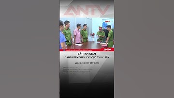 Bắt tạm giam đăng kiểm viên Chi cục Thủy sản tỉnh Bà Rịa-Vũng Tàu | ANTV