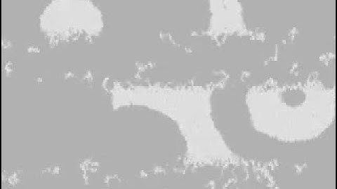 binary fission_1 -- in an imaginary world