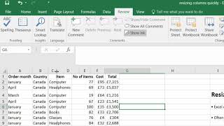 How to Resize Excel Columns and Rows Quickly