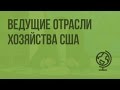 Ведущие отрасли хозяйства США. Видеоурок по географии 10 класс