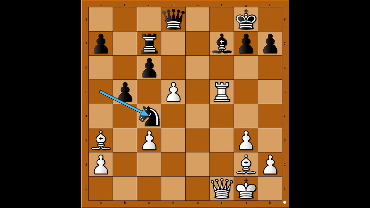 Ostao je bez Dame pa ipak osigurao sebi put u pobedu 💣💣💣💥💥  MORTON vs ADAMS #3657