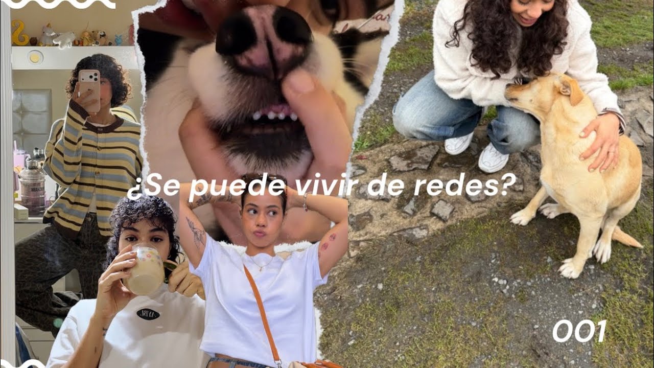 Intentando construir mi marca personal desde cero (la realidad de ser creadora)