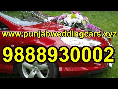 Best Rental Wedding Cars (Hummer) In Jalandhar Punjab | Punjab Wedding Cars