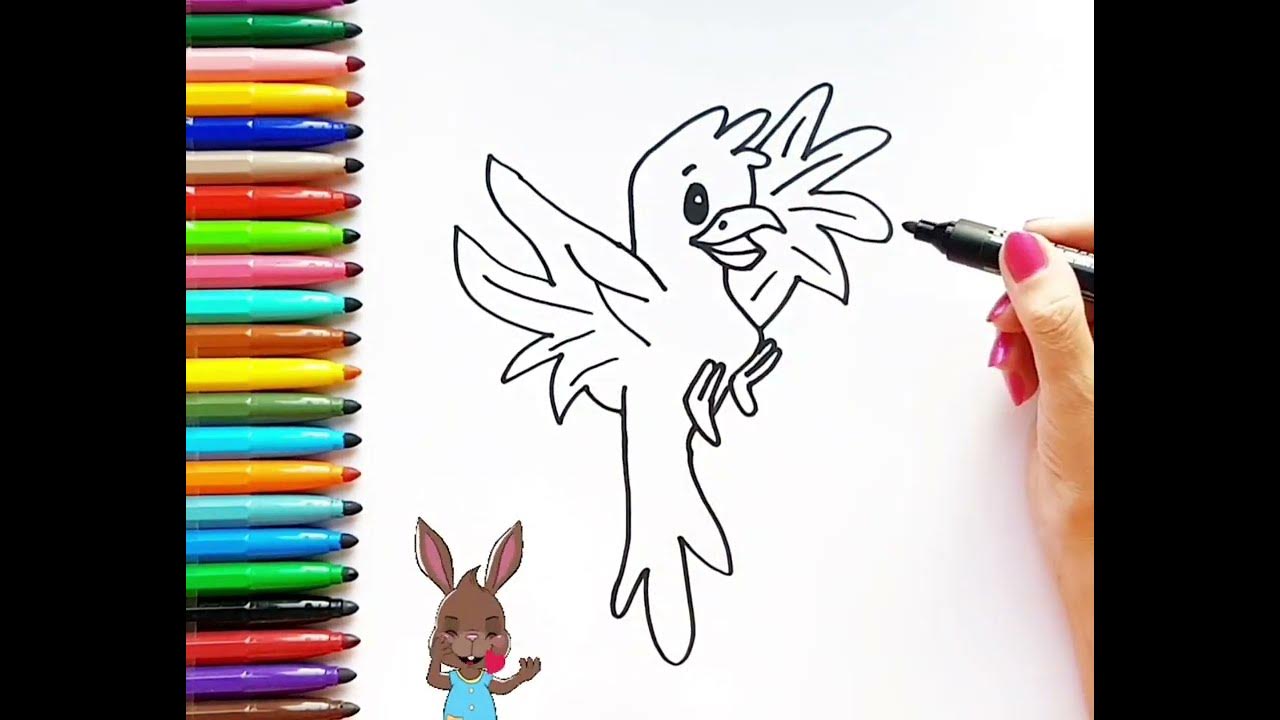 Como dibujar un pajaro