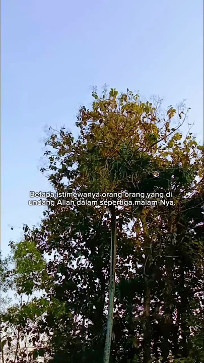 vibes sore hari di pekampungan pedesaan pemandangan indah #sortvideo #motivasi #bismillahfyp