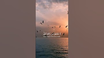 قرآن كريم ( سورة الزمر ) 🎧🌺 #الله #تلاوة #سورة #allah #quran #islam #asmr #راحة_نفسية #ﷺ #اسلام