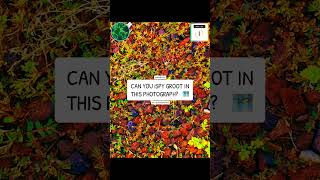 NATURE MEME 🗺️ • #mothernature #naturenews #naturephotos #memesvideo #memes #ispy #groot #games #i9