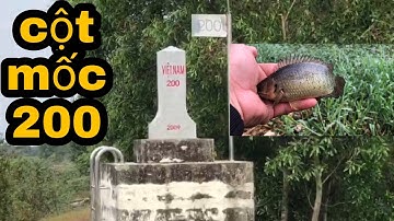 Câu Cá Rô Đồng.Chia Sẽ Đường Ra Cột Mốc 200 Cho Một Người Bạn/@ninhfishing