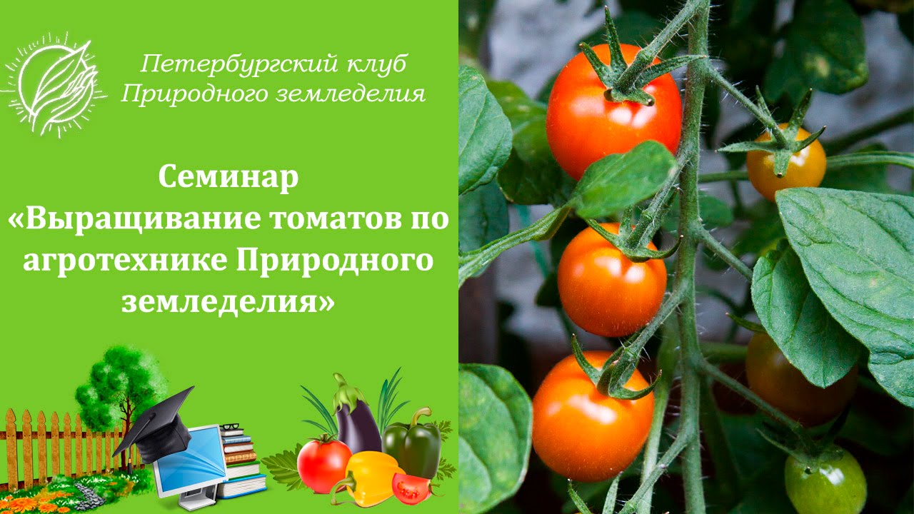 Интернет Магазин Клуба Природного Земледелия