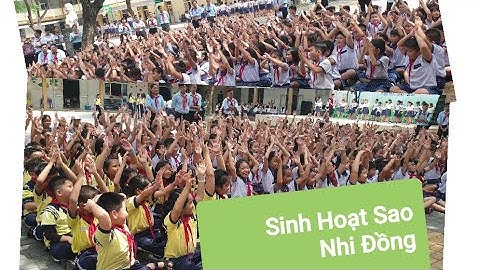 Buổi sinh hoạt sao nhi đồng "cười đau bụng" |TH Nguyễn Thị Định Q7