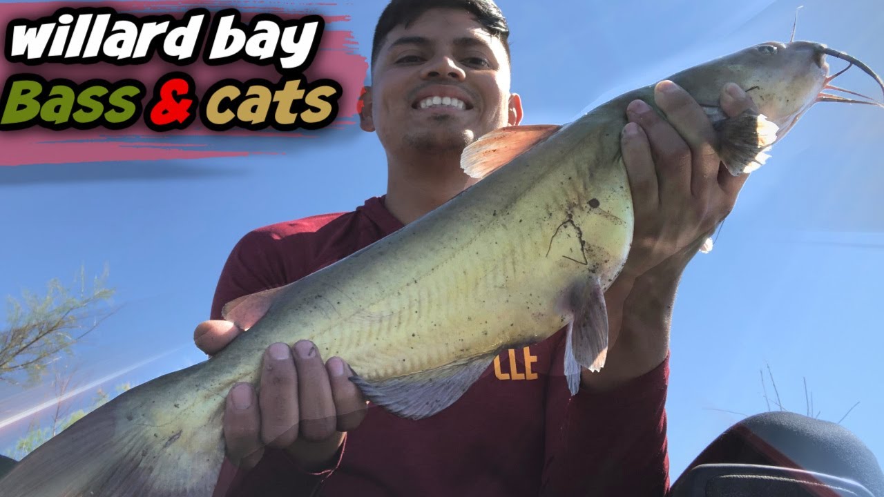 Bass and Catfishing Willard bay Utah fishing fishing tips YouTube