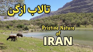 IRAN, A Beautiful Lagoon - تالاب زیبای ازگن در لرستان